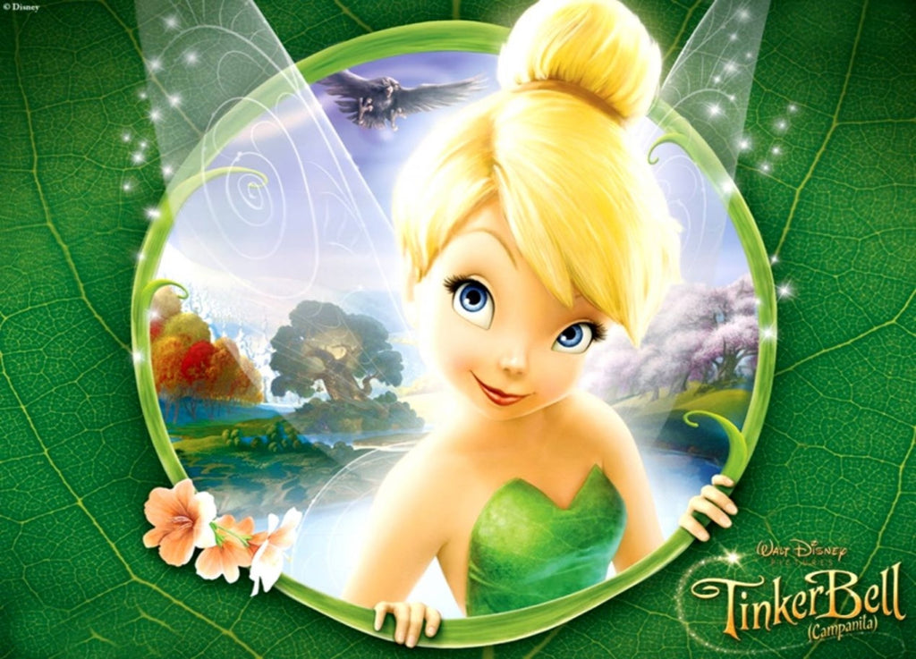 Disney Fairies costumes and accessories