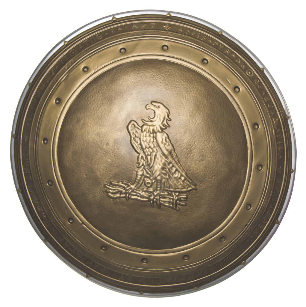 Wonder Woman Shield - Adult Rubies