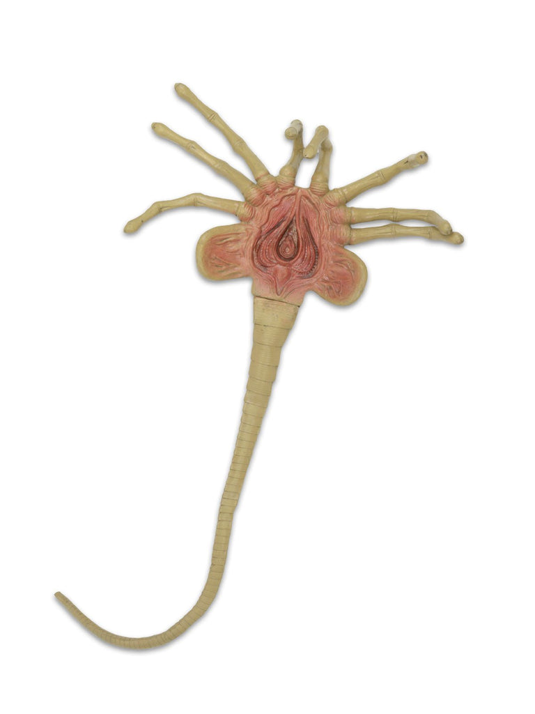 Alien Life-Size Facehugger Foam Prop Replica Neca