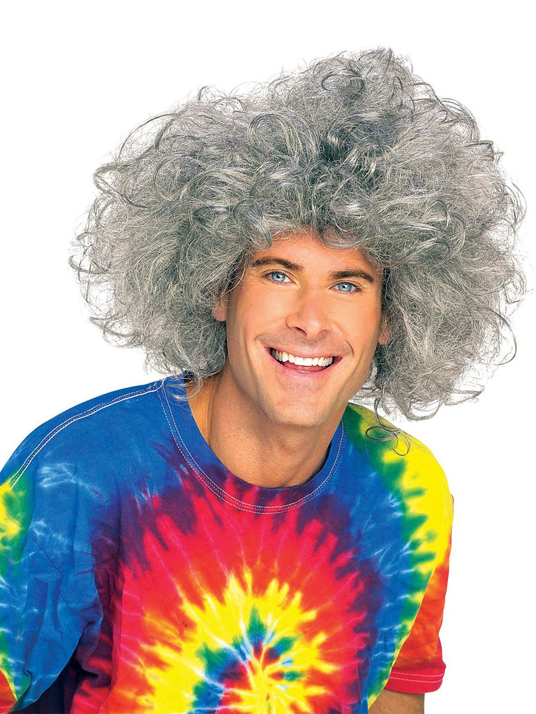 Bad Hair Day Wig - (Einstein) Adult Rubies