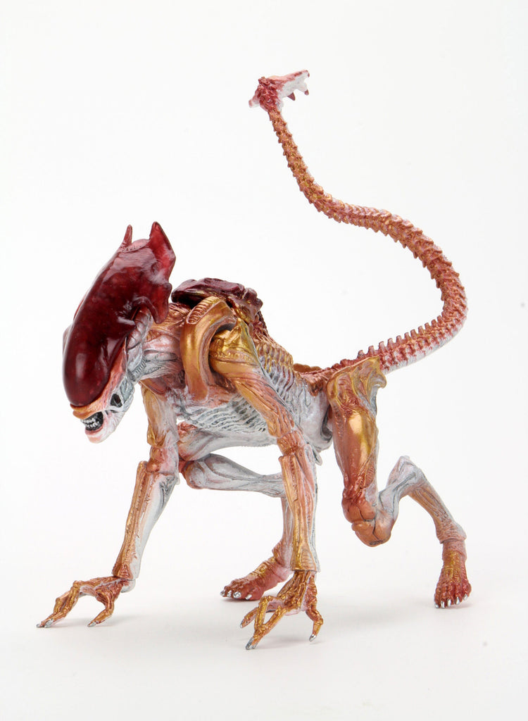 Aliens - Panther Alien Kenner Tribute 7" Scale Action Figure Neca