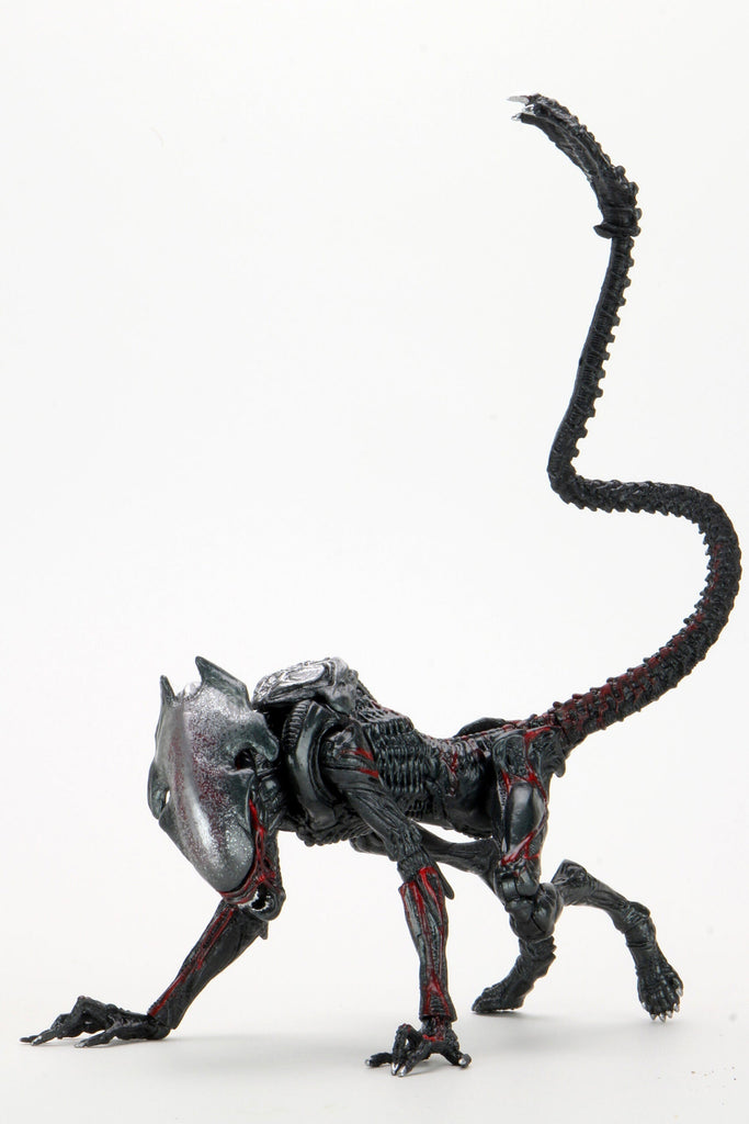 Aliens Night Cougar Kenner Tribute 7" Scale Action Figure Neca