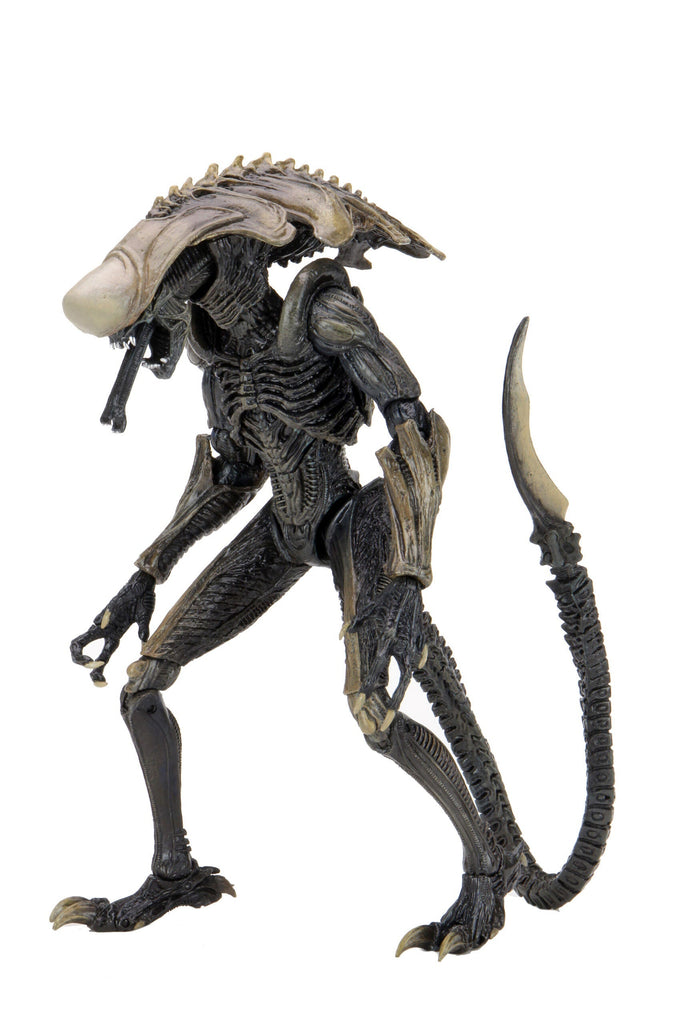 Alien Vs Predator - Chrysalis Alien 7" Scale Action Figure Neca