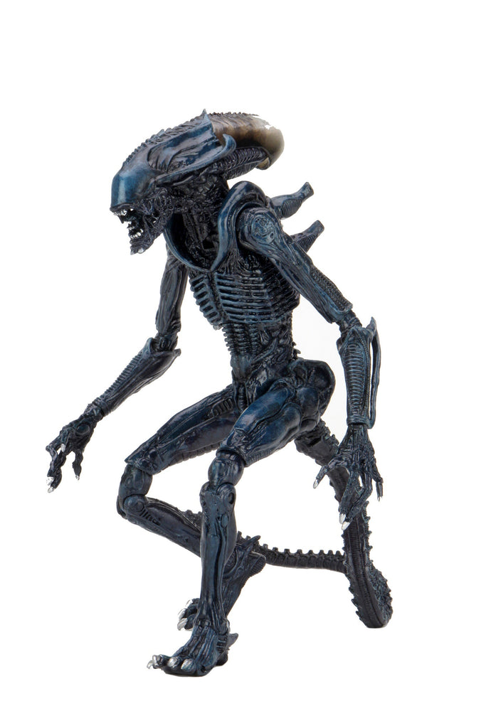 Aliens Arachnoid Alien Vs Predator 7" Scale Action Figure Neca