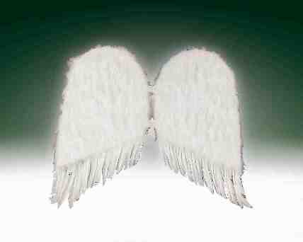 Angel Wings - Feathery White Rubies