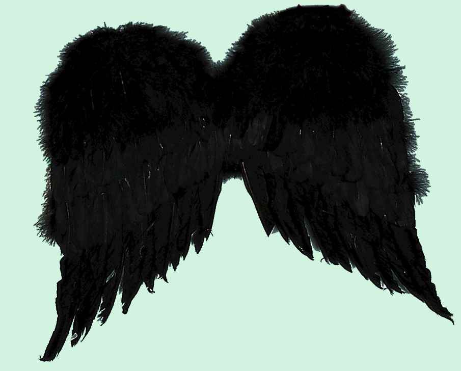 Angel Wings, Black Feather Rubies