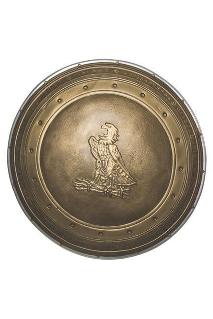 Wonder Woman 12" Child Shield