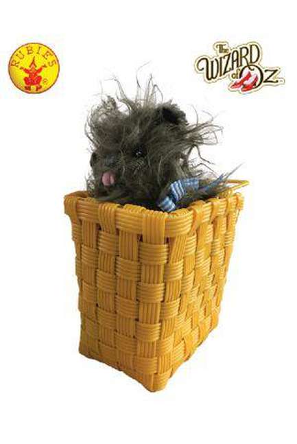 Toto in a Basket