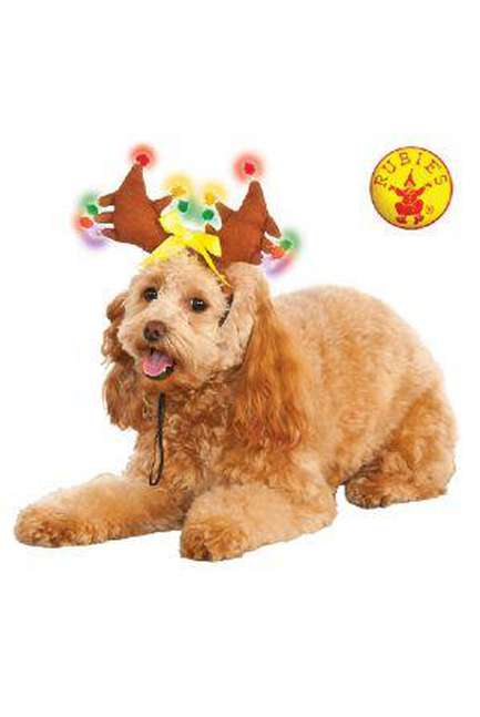 Reindeer Light-Up Pet Costume