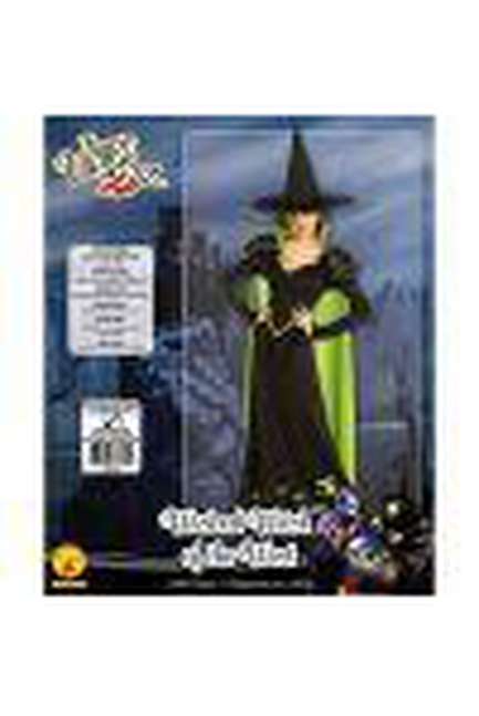 Wicked Witch Deluxe Adult Costume