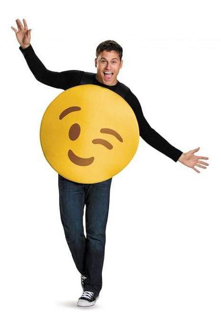 Wink Costume - Party Australia